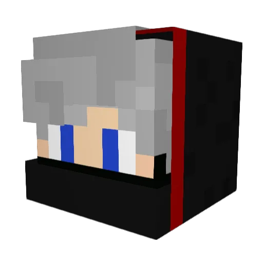 Pako1746 Minecraft avatar head, 3D render