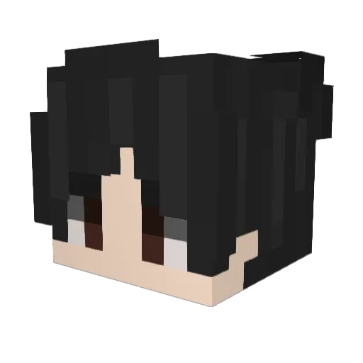 Pako9797 Minecraft avatar head, 3D render