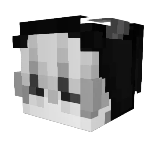 Pakora Minecraft avatar head, 3D render