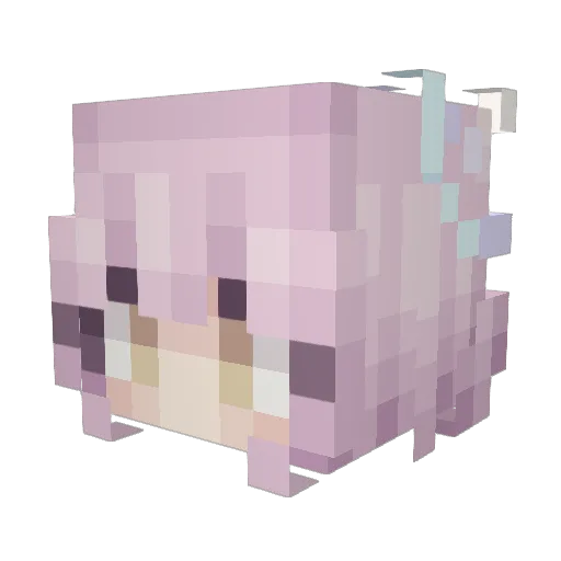 Pakornlam Minecraft avatar head, 3D render