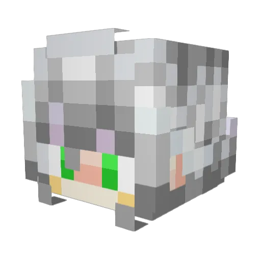 PakuLite Minecraft avatar head, 3D render
