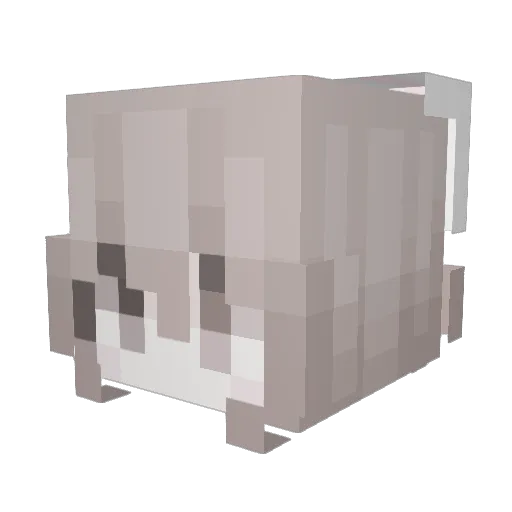 Pakusan01 Minecraft avatar head, 3D render