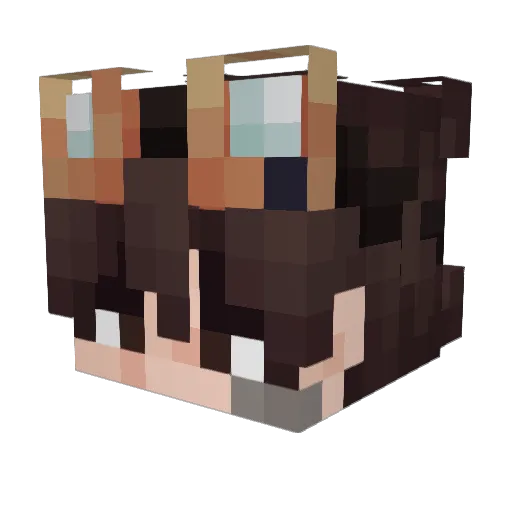 PalCrow Minecraft avatar head, 3D render