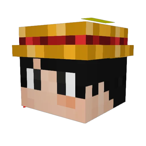 PalaTonicWert Minecraft avatar head, 3D render