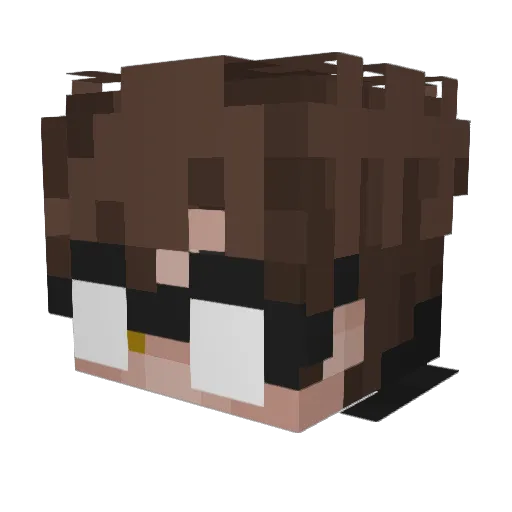 PalaceLad Minecraft avatar head, 3D render