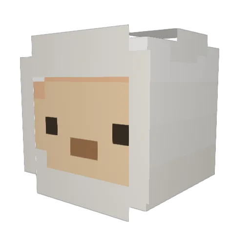 Palacinkar Minecraft avatar head, 3D render