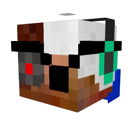 Paladin563 Minecraft avatar head, 3D render