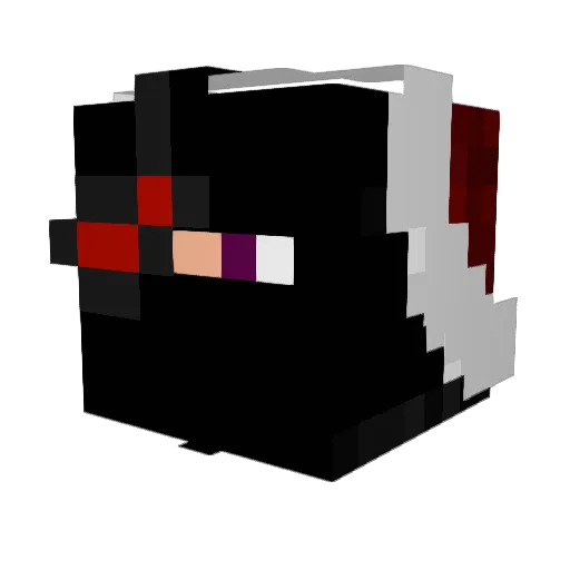 PaladinDec Minecraft avatar head, 3D render