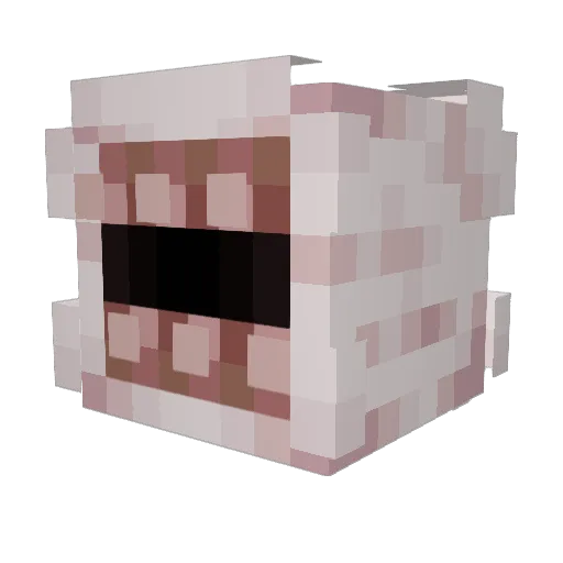 PaladinGreen Minecraft avatar head, 3D render