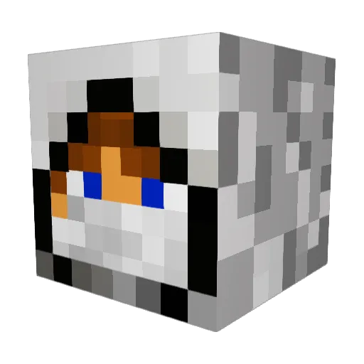 Paladin_Aquila Minecraft avatar head, 3D render