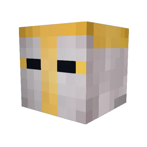Paladin_MC Minecraft avatar head, 3D render