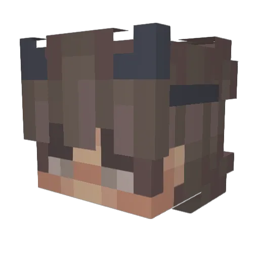 Paladinight Minecraft avatar head, 3D render