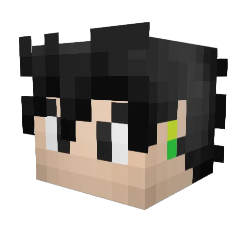 Paladix Minecraft avatar head, 3D render
