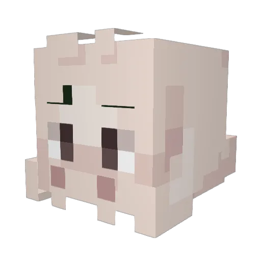 PalasPlas Minecraft avatar head, 3D render
