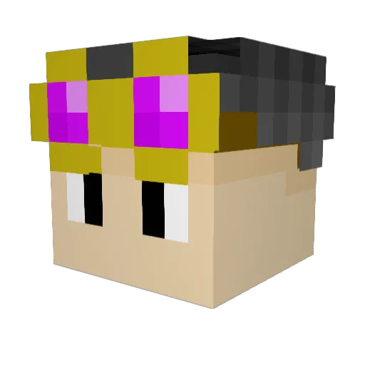 Palawyn Minecraft avatar head, 3D render