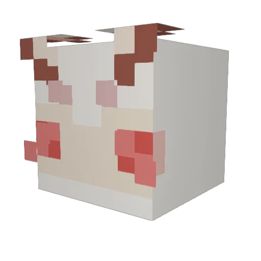 PaleDale098 Minecraft avatar head, 3D render