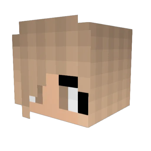 PaleEagle13 Minecraft avatar head, 3D render
