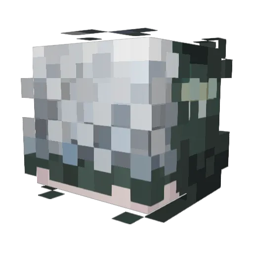 PalePepper Minecraft avatar head, 3D render