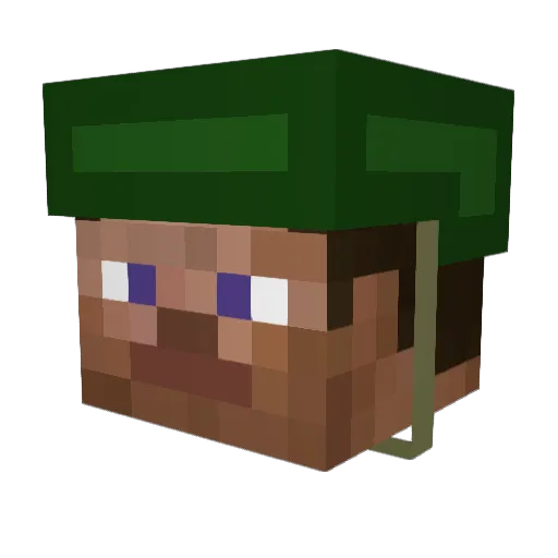 PaleRaspberry Minecraft avatar head, 3D render