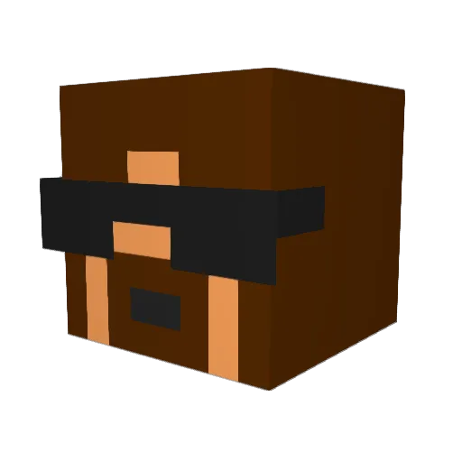 PaleRider559 Minecraft avatar head, 3D render