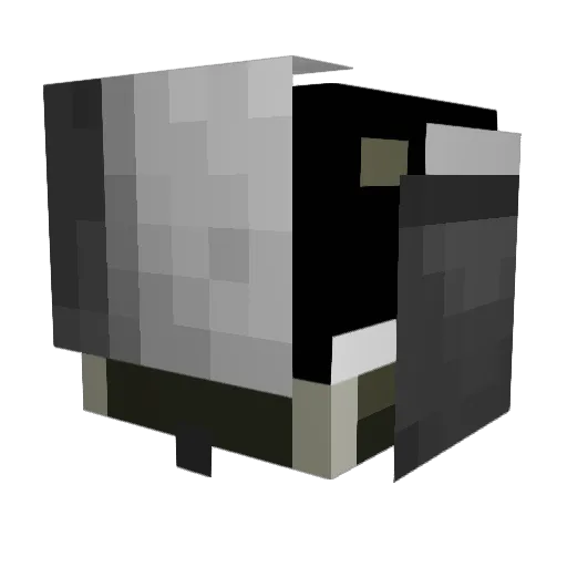 PaleRunner41 Minecraft avatar head, 3D render