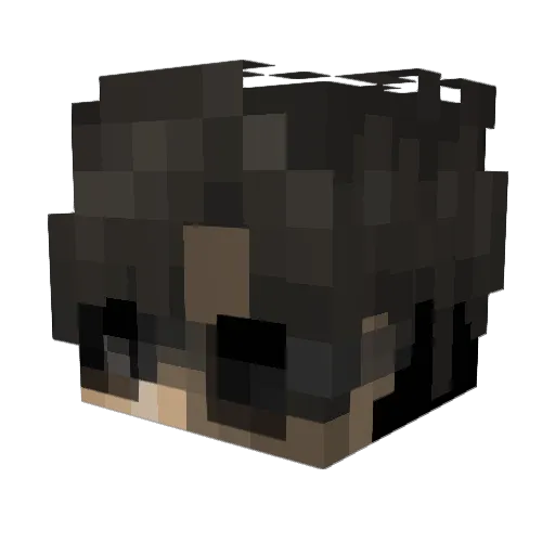 PaleSerum Minecraft avatar head, 3D render