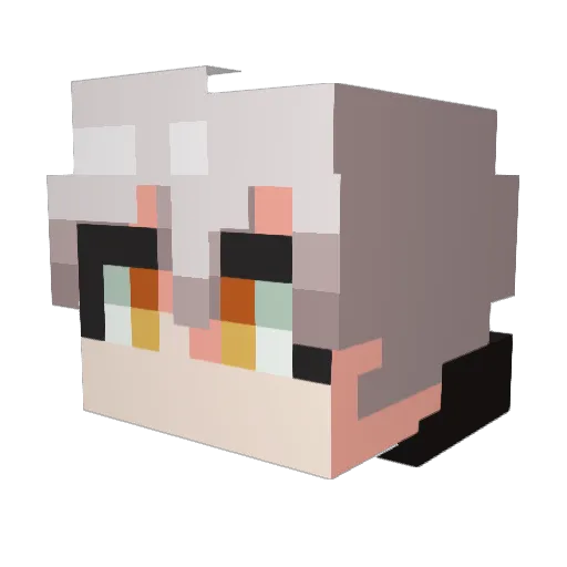 Pale_Flame411 Minecraft avatar head, 3D render