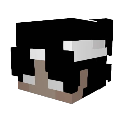 PalettaHX Minecraft avatar head, 3D render