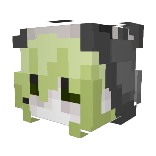 PaliLev Minecraft avatar head, 3D render