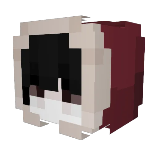 PalidinX Minecraft avatar head, 3D render