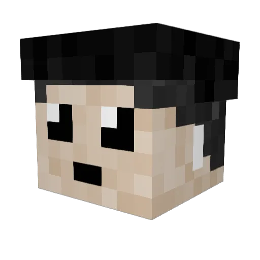 Palinko1337 Minecraft avatar head, 3D render