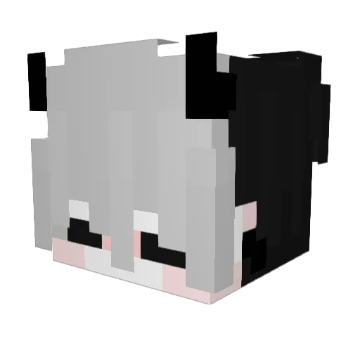 Palion400 Minecraft avatar head, 3D render