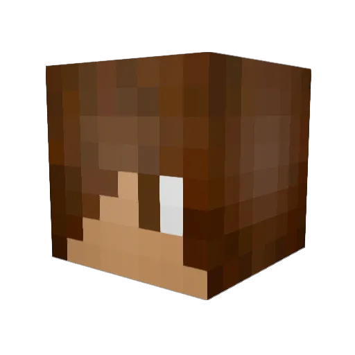 Palkokrex777 Minecraft avatar head, 3D render
