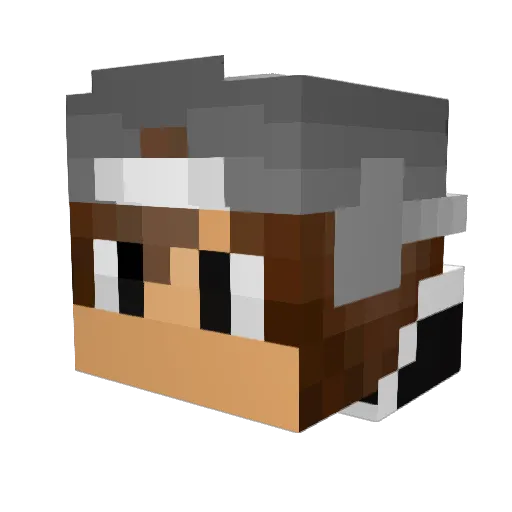 Palladino Minecraft avatar head, 3D render