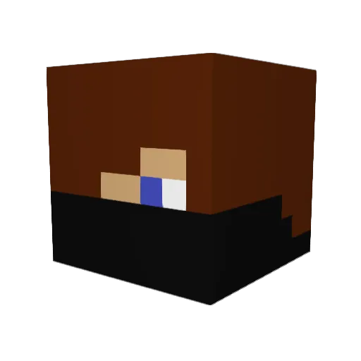 Pallavering Minecraft avatar head, 3D render