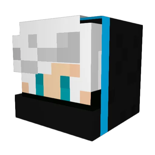 PalleAaron13 Minecraft avatar head, 3D render
