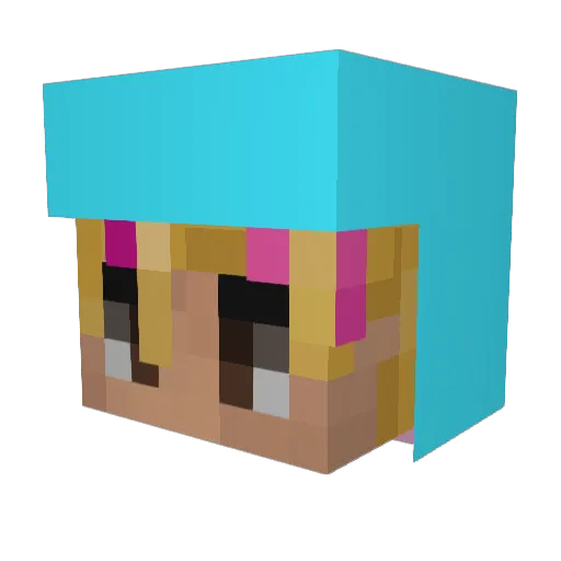 PallePis1234 Minecraft avatar head, 3D render