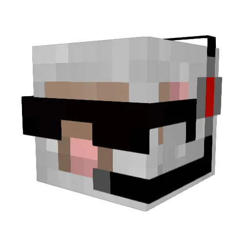 Palle_00 Minecraft avatar head, 3D render