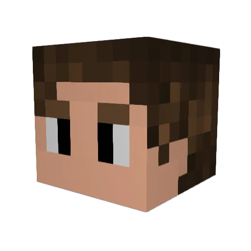 Pallinn Minecraft avatar head, 3D render