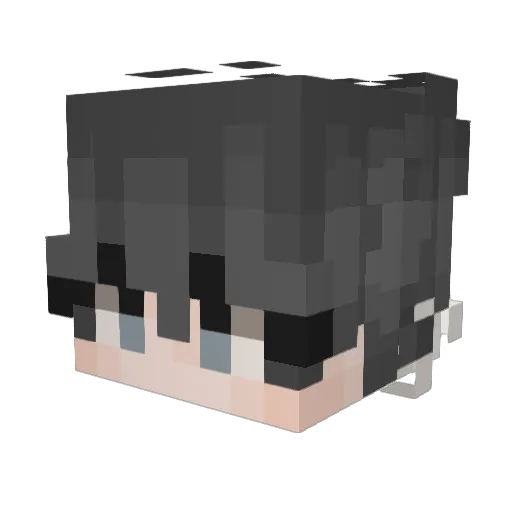 Pallojax Minecraft avatar head, 3D render