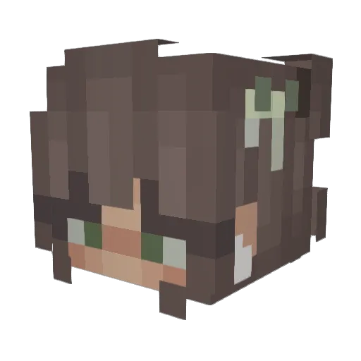 Pallytally Minecraft avatar head, 3D render