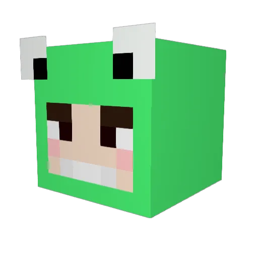 PalmBeachPeteXP Minecraft avatar head, 3D render