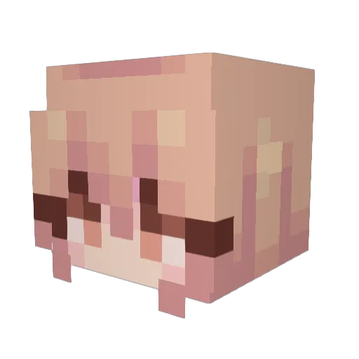 PalmToppedTaiga Minecraft avatar head, 3D render