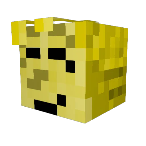 Palmaa13 Minecraft avatar head, 3D render