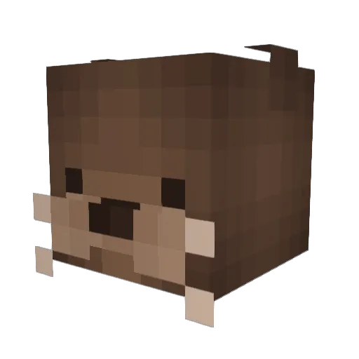 Palmera_ Minecraft avatar head, 3D render