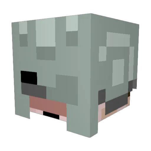 Palmitah Minecraft avatar head, 3D render