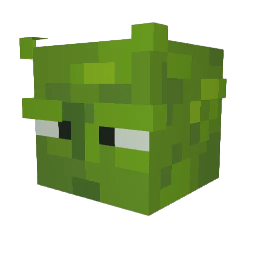 Palmsswetty Minecraft avatar head, 3D render