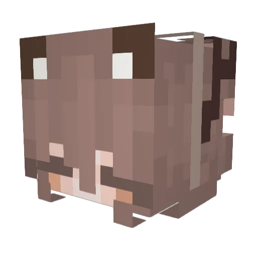 Paloomaa Minecraft avatar head, 3D render
