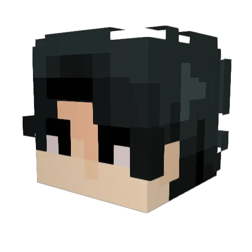Palpamemer Minecraft avatar head, 3D render