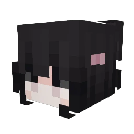 Palpitateii Minecraft avatar head, 3D render